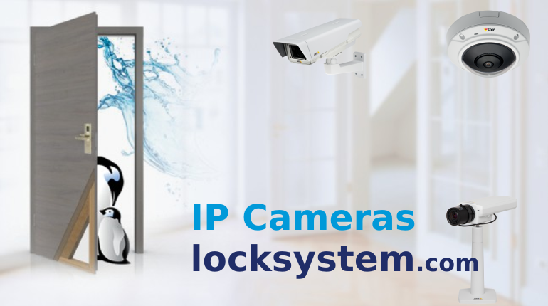 IP Kameras